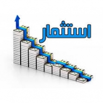 عمليات الاستثمار في شركات التأمين السورية